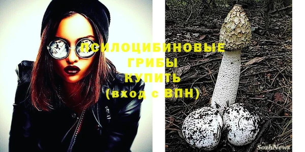 МДПВ Верея