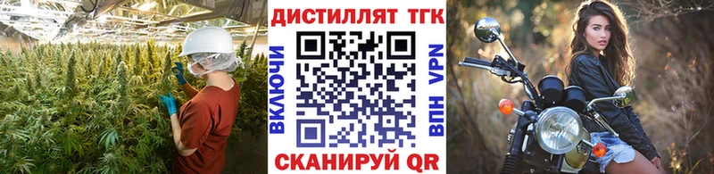 Купить закладки  Медвежьегорск  ТГК концентрат 