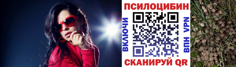 Купить закладки  Медвежьегорск  Псилоцибиновые грибы MAGIC MUSHROOMS 