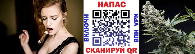 Бошки Шишки семена  Купить закладки  Медвежьегорск 